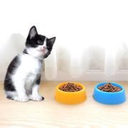 kiotviet_64a8d9e14757c2d3880b6dd47cd13c06