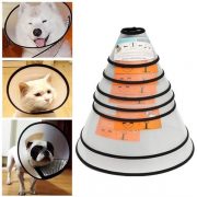 kiotviet_88cd1060b6a7823a0cb58bcfa91ea16a