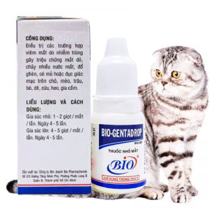 Sử dụng thuốc nhỏ mắt cho mèo đúng cách, an toàn