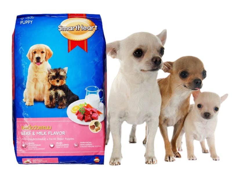 Thức Ăn Cho Chó Con Smartheart Puppy – cauvangpetshop
