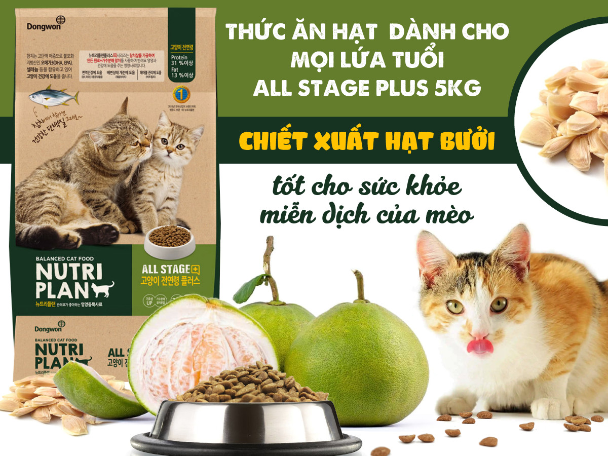 Hạt Nutri Plan Cho Mèo 5KG Trường Phát food