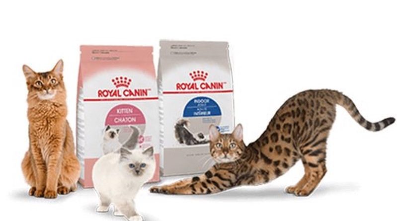 Thức ăn hạt royal canin cho mèo có bao nhiêu loại?