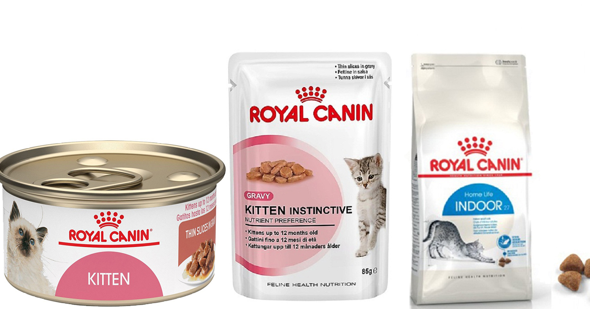 Review] thức ăn Royal Canin cho mèo có tốt không? - Happy Paws