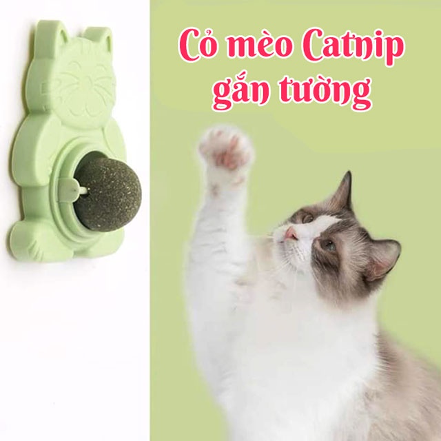 CATNIP - Viên Cỏ Bạc Hà Cho Mèo Gắn Tường Giảm Stress - Hỗ Trợ Tiêu Hóa -  Tiêu Búi Lông | Shopee Việt Nam