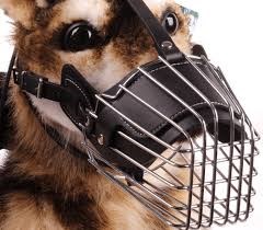 kiotviet_b46d671691f03d1ca7a53a3f5c56090d