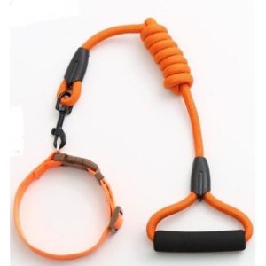 Dây dắt cổ Zichen 1cm