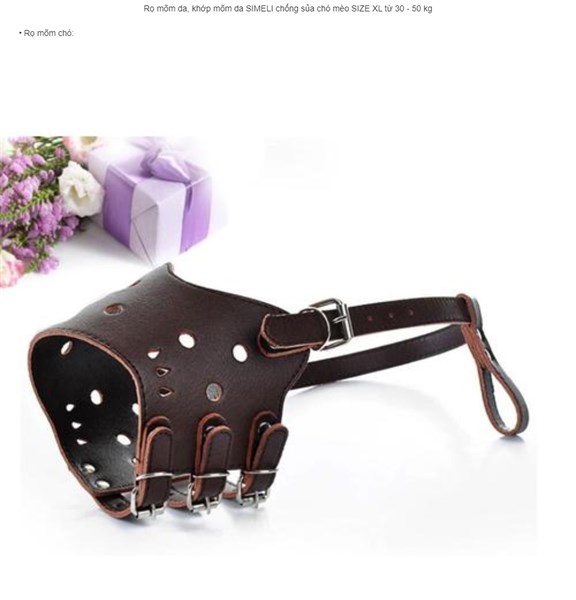 kiotviet_035e518593fa7055e03fe9c8d790b0b1