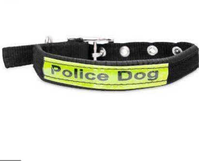 kiotviet_2d9410873af8fa417401b81dcd111ea5