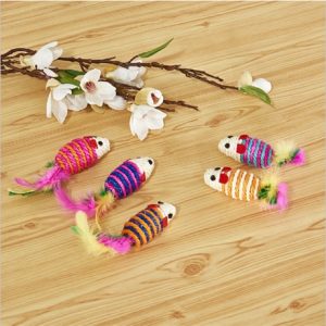 Chuột dây thừng có lông