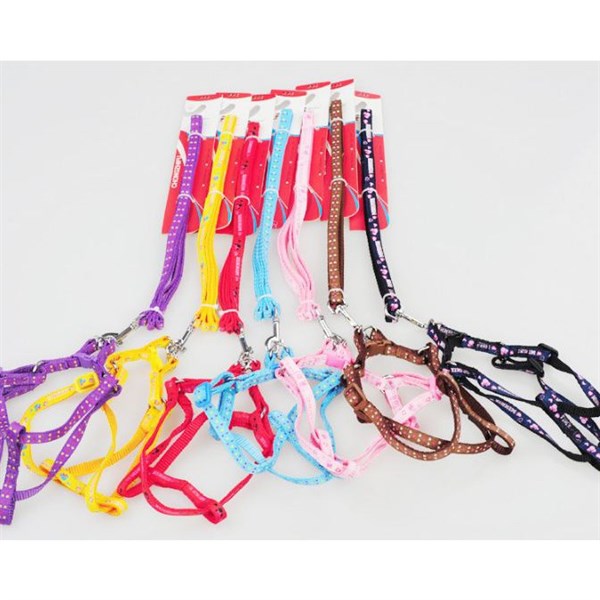 kiotviet_63e238457fb387881e18336f8175d3b6