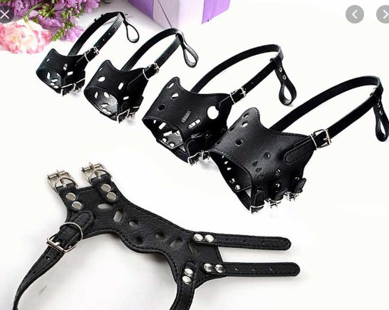 kiotviet_79950536c51fab5374a62039017b962e