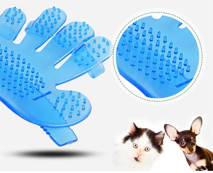 kiotviet_8f41f8b8468653e2179b4a39deb4f21c