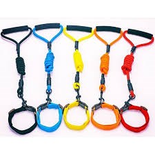Dây dắt cổ zichen 0.8 cm