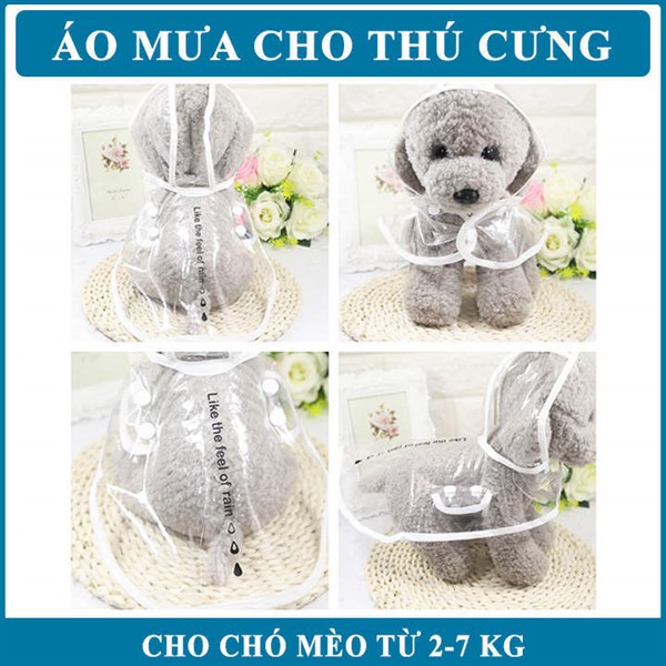kiotviet_c00f92657171e8cd45ebea7a30d9a085
