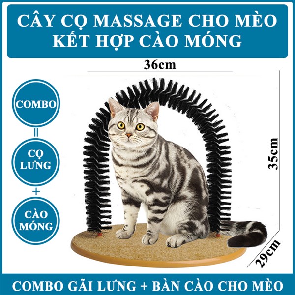 kiotviet_e007525704235418a2890fdc8c691544