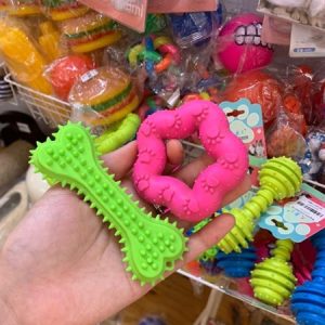 Xương gai gặm nướu 11cm