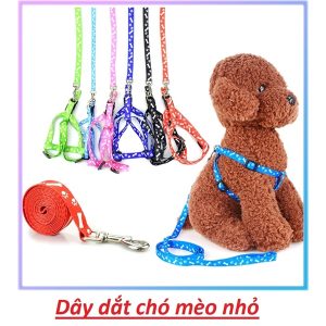 Dây dắt cổ hình chân chó 1,5cm