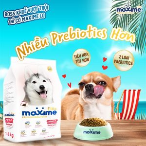 Maxime Elite Dog Adult Cá Hồi 1kg ( túi chiết )